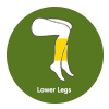 Lower Legs